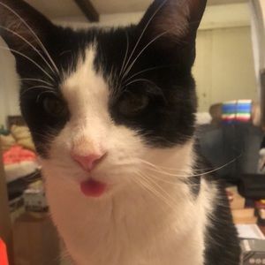 Meet your Posher, Margaret